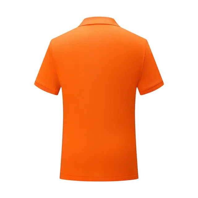 OKPI LogoPolo