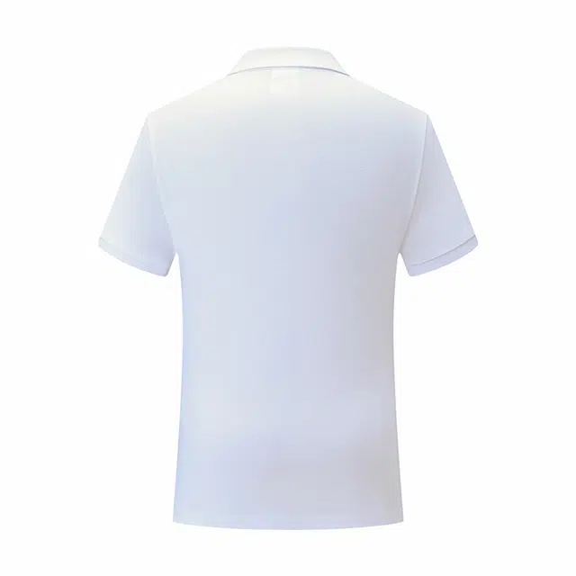 OKPI LogoPolo