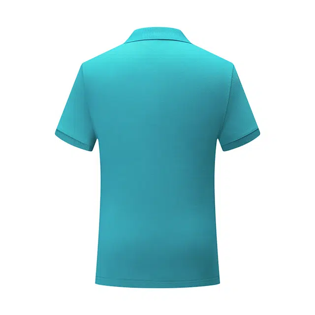 OKPI LogoPolo