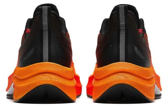 Anta 5.0