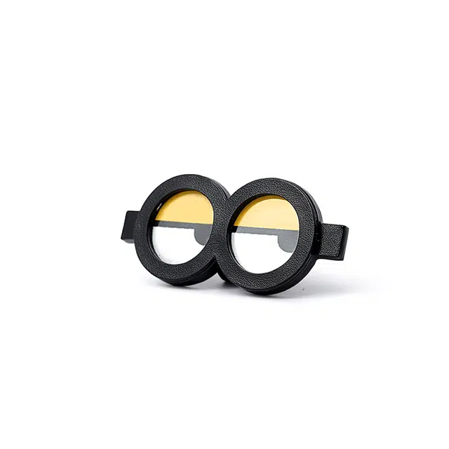 FION MINIONS 3D
