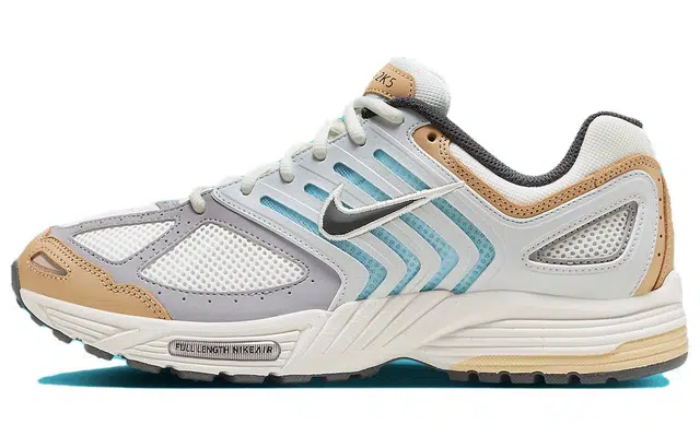 Nike Air Pegasus 2005