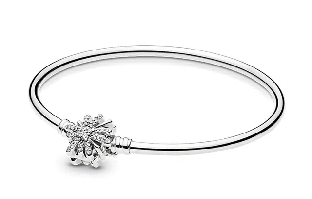 Pandora Bracelet
