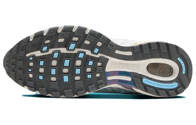 Nike Air Pegasus 2005