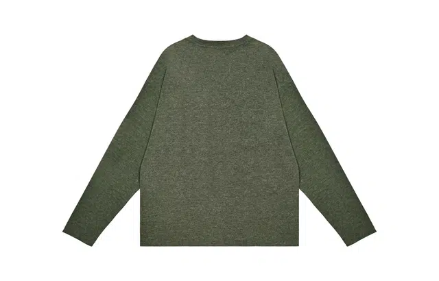 Saotome T