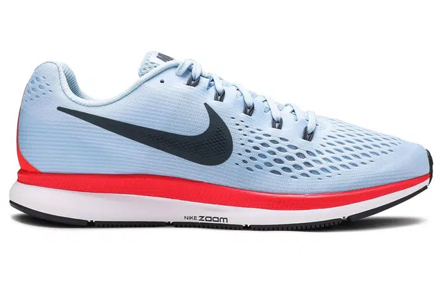 Nike Pegasus 34