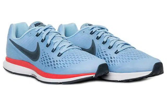 Nike Pegasus 34