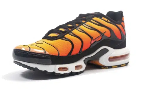 Nike Air Max Plus OG