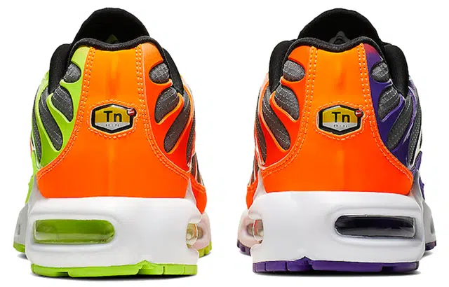 Nike Air Max Plus Color Flip