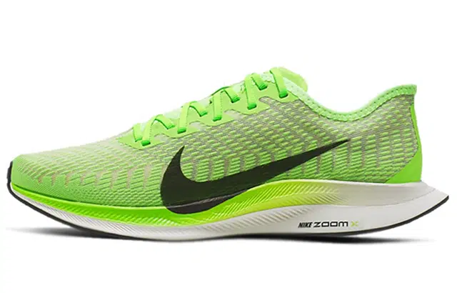 Nike Pegasus turbo 2