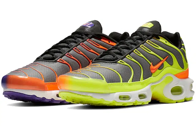 Nike Air Max Plus Color Flip