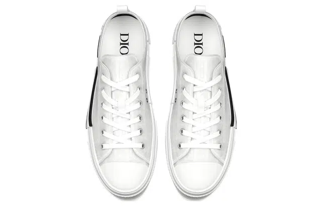 DIOR B23 Oblique logo