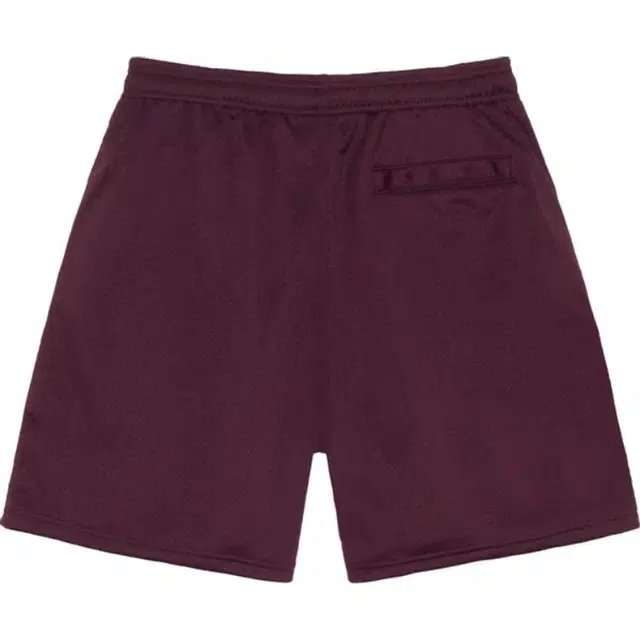 Stussy Big Basic Mesh Short