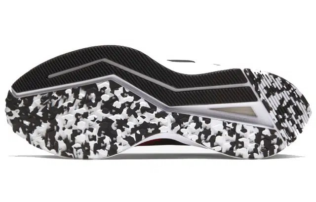 Nike Zoom Winflo 6
