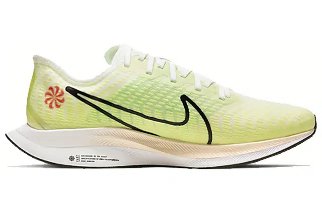 Nike Pegasus turbo 2 Rise