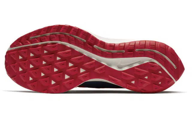 Nike Zoom Pegasus 36 TR GYAKUSOU
