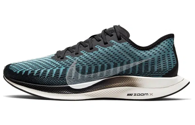 Nike Pegasus turbo 2