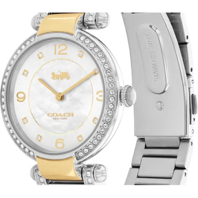 COACHCARY 34mm 30 14503833