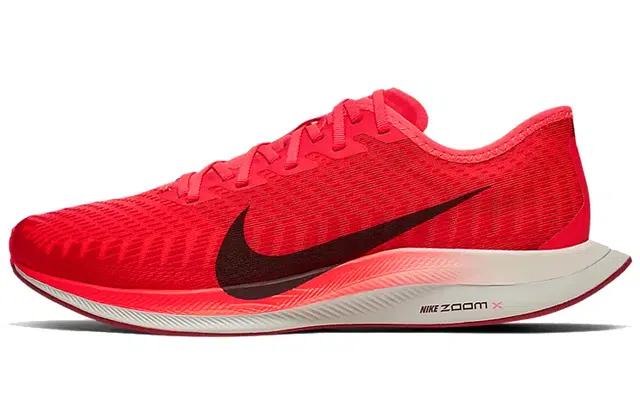 Nike Pegasus turbo 2