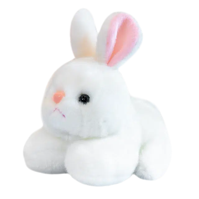 15cm20cm
