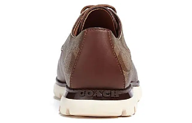 COACH Hybrid