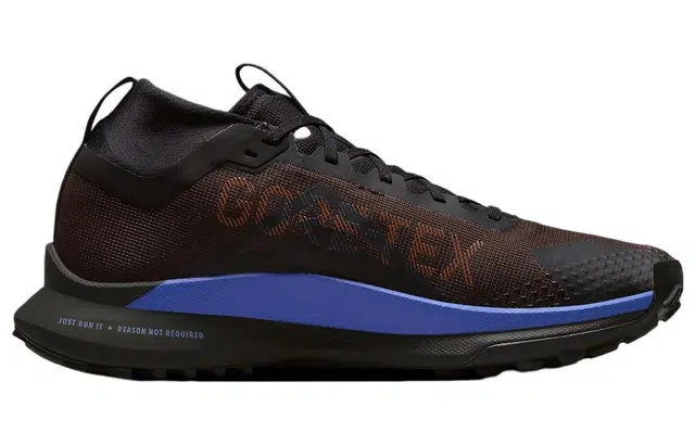 Nike Pegasus Trail 4 GORE-TEX