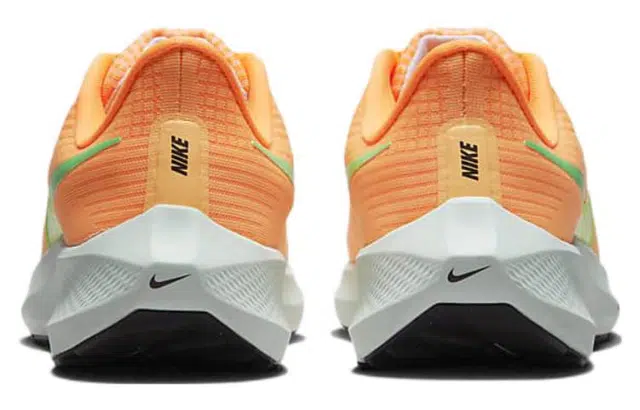 Nike Air Zoom Pegasus 39