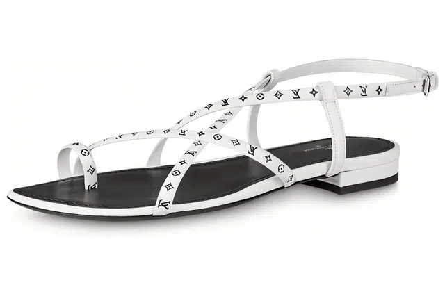 LOUIS VUITTON Citizen