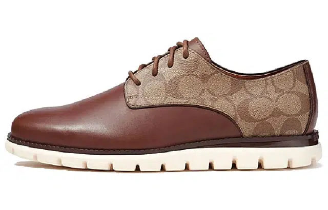 COACH Hybrid