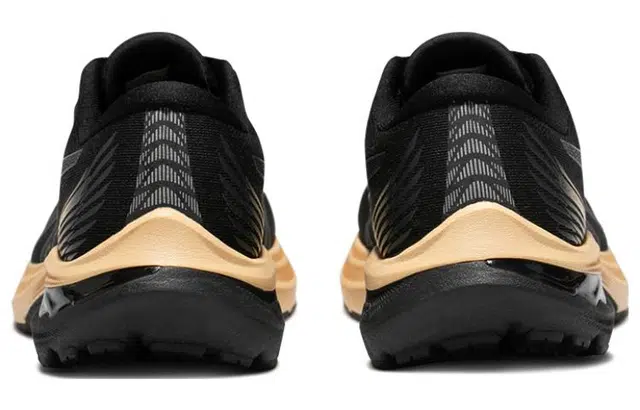 Asics GT-2000 11 Lite Show