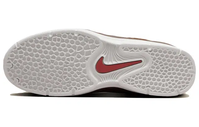 Nike Sb Vertebrae Bison