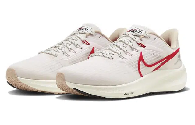 Nike Air Zoom Pegasus 39