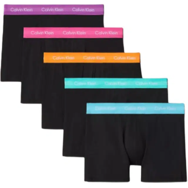 CALVIN KLEIN Pride 5