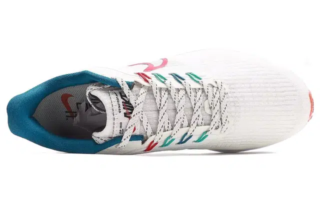 Nike Air Zoom Pegasus 39