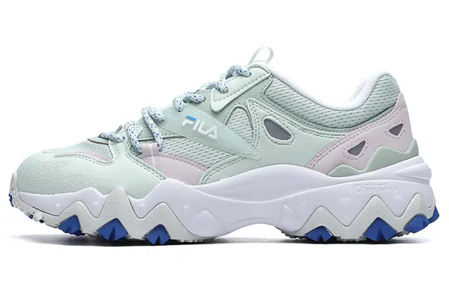 FILA Fellow 2 2