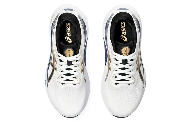 Asics Gel-Kayano 30
