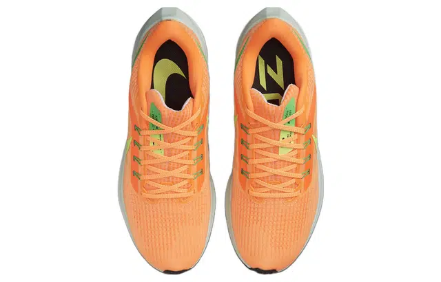 Nike Air Zoom Pegasus 39