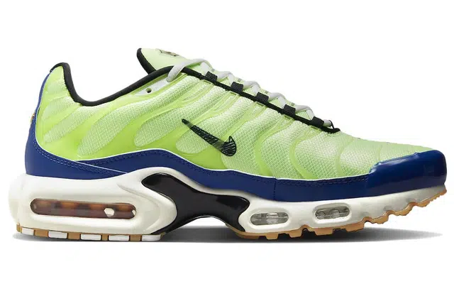 Nike Air Max Plus "M. Frank Rudy"