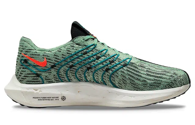 Nike Pegasus Turbo Next Nature