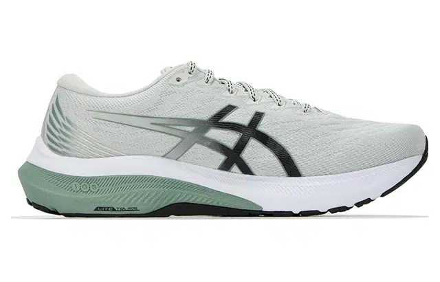 Asics GT-2000 11 (2E)