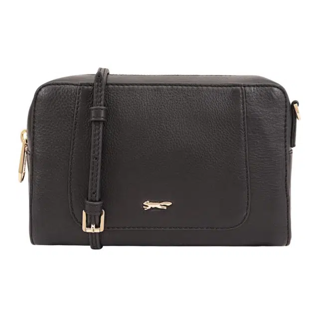 PAUL COSTELLOE