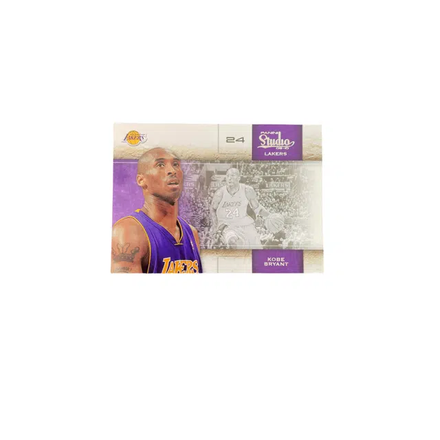 PANINI 2010