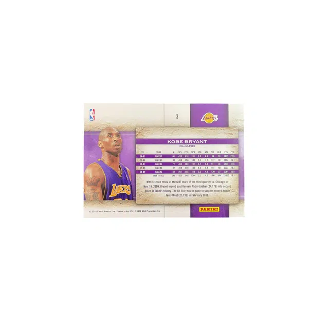 PANINI 2010