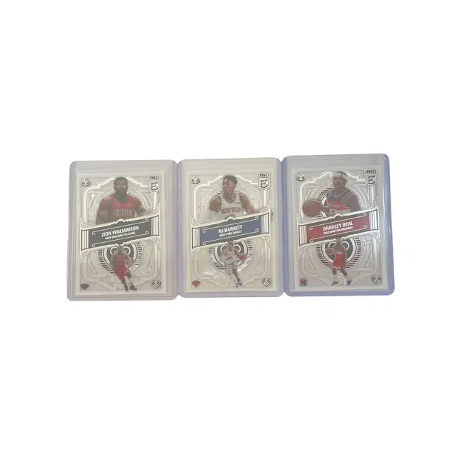 PANINI 2022-23 RJ 3