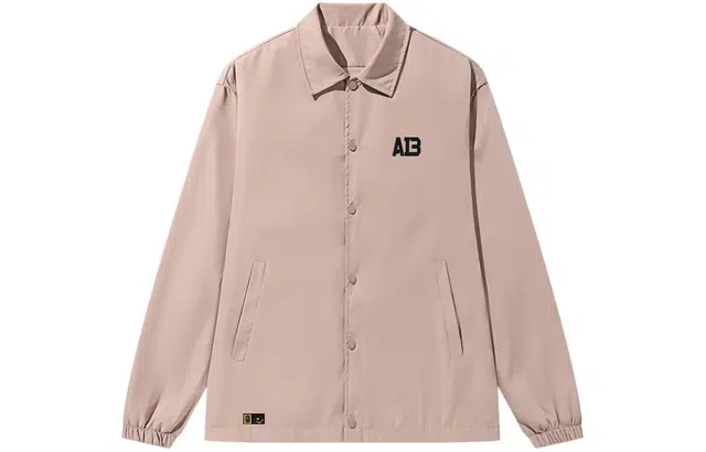AI3