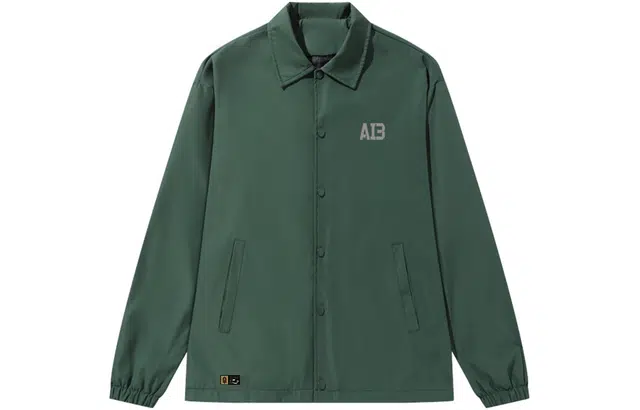 AI3