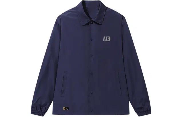 AI3