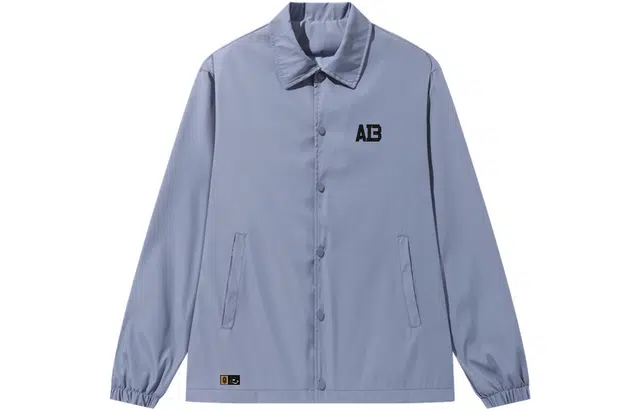 AI3