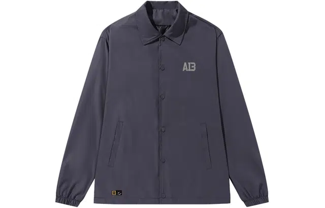 AI3