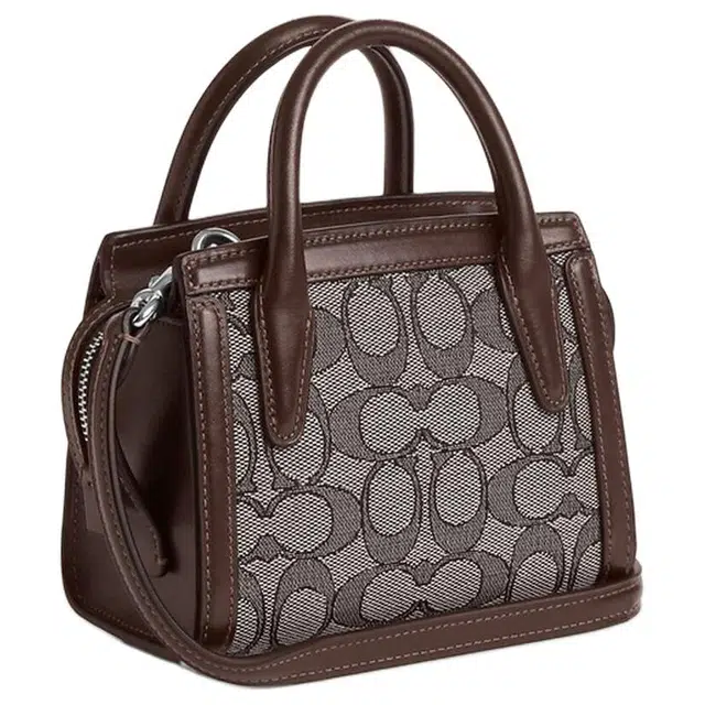 COACH Carryall 15
